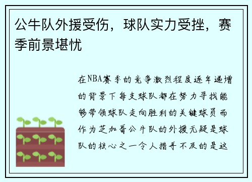 公牛队外援受伤，球队实力受挫，赛季前景堪忧